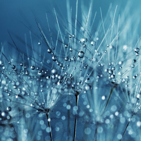 Meet your Posher, WaterOnMars - Picture 5 of 12